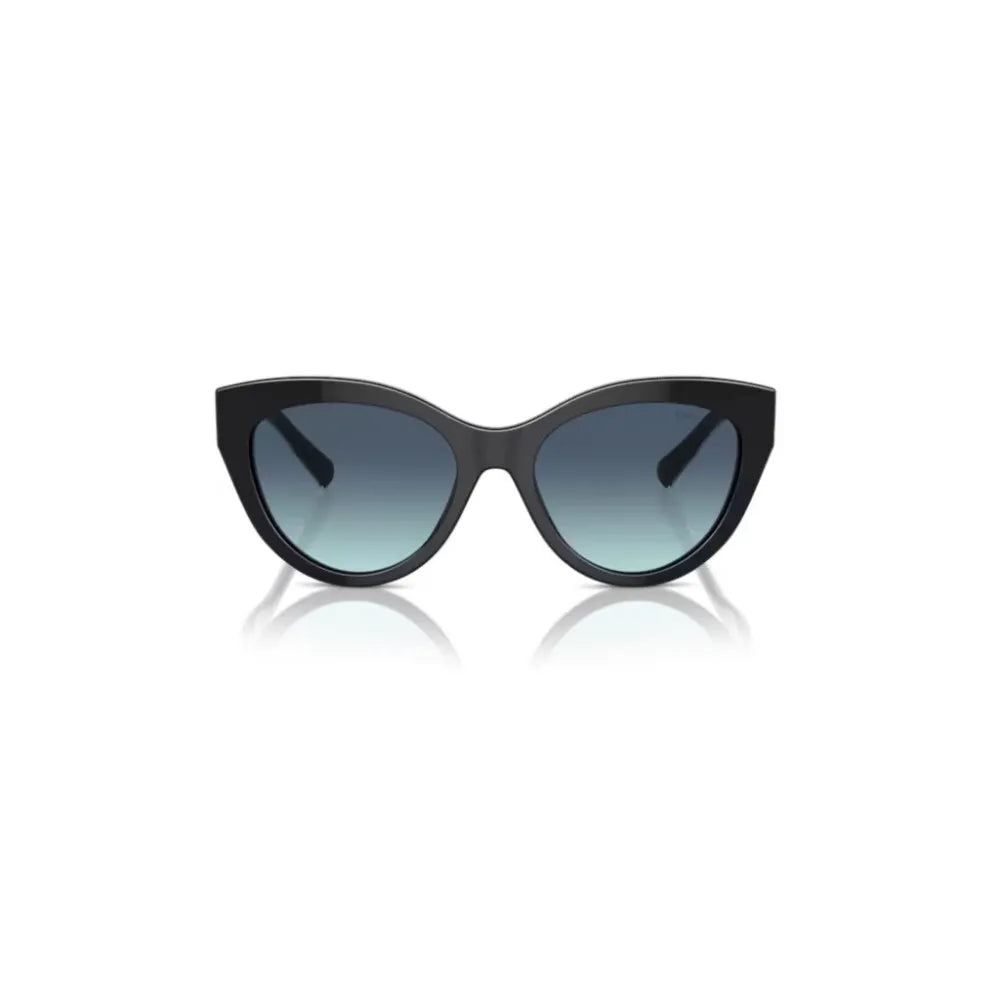 Γυαλιά ηλίου Tiffany & Co TF 4220