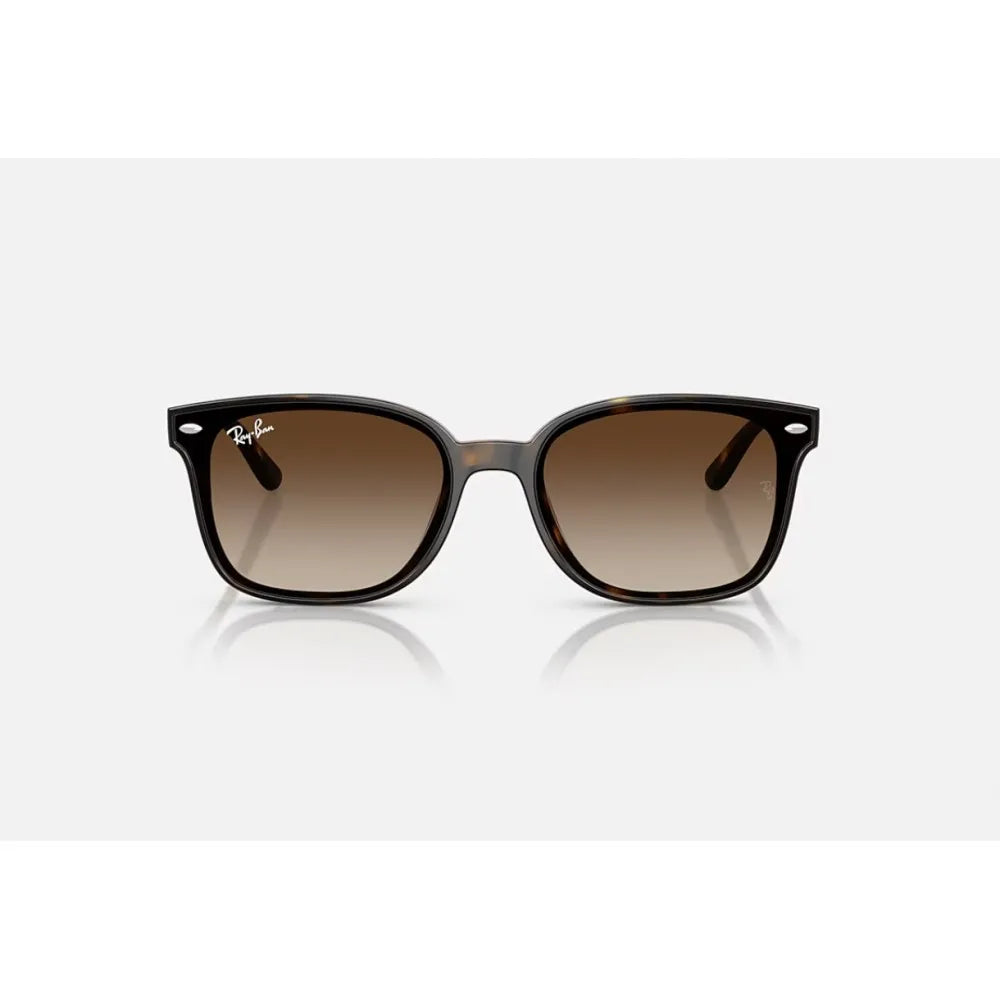 Γυαλιά ηλίου Ray Ban RB 4461D
