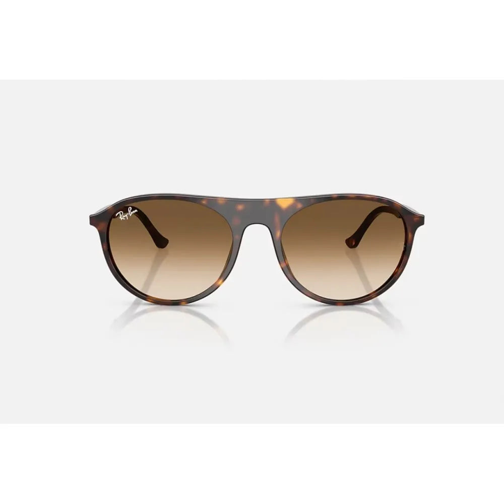 Γυαλιά ηλίου Ray Ban RB 2215