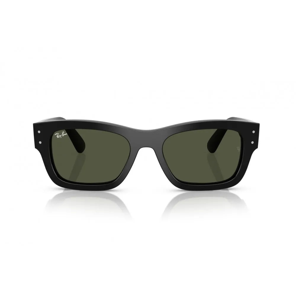 Γυαλιά ηλίου Ray Ban RB 7683S Joseph