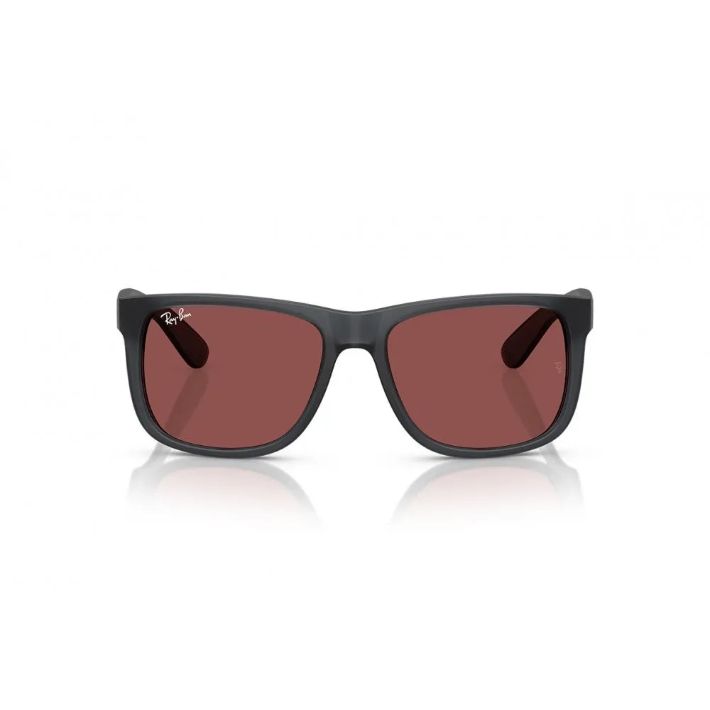 Ray Ban RB 4165 Justin