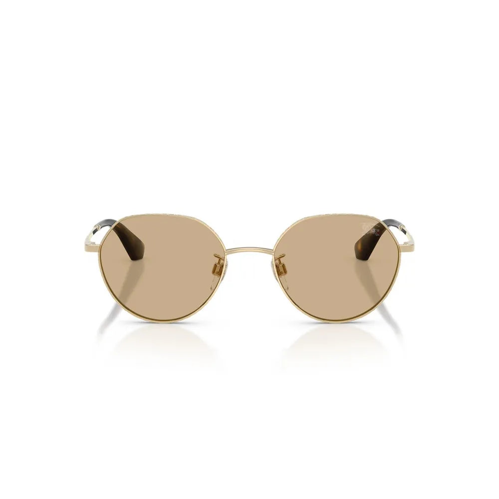 Burberry B 3173D Γυαλιά Ηλίου