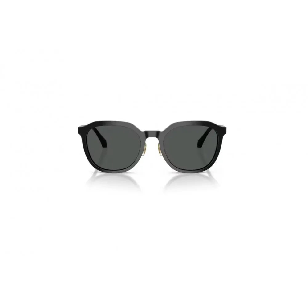 Γυαλιά ηλίου Versace VE 4493D