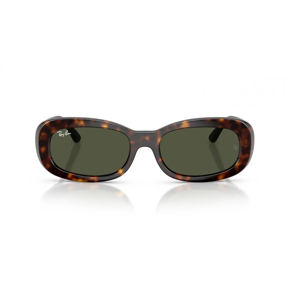 Γυαλιά ηλίου Ray Ban RB 2221