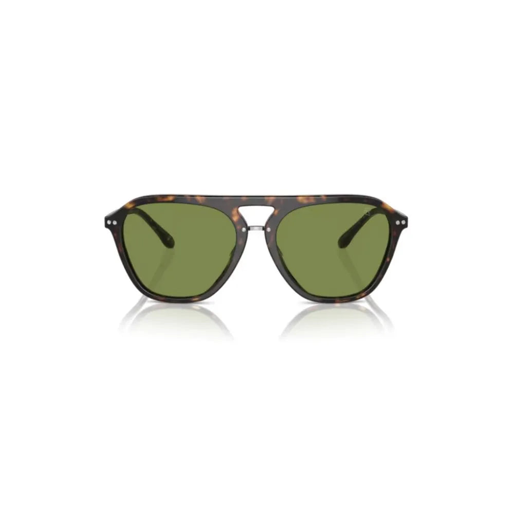 Γυαλιά ηλίου Ralph Lauren RL 8219U  The Ηugh