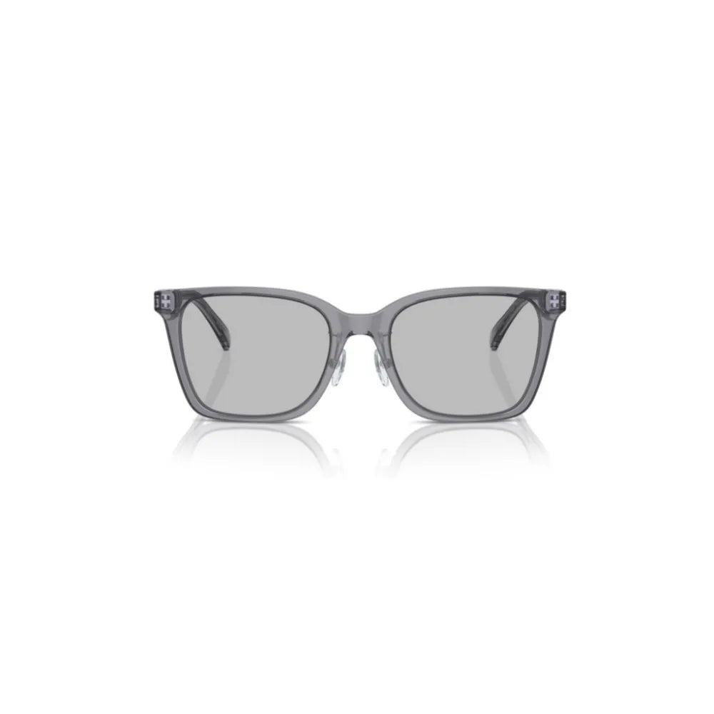 Γυαλιά ηλίου Emporio Armani EA 4226D