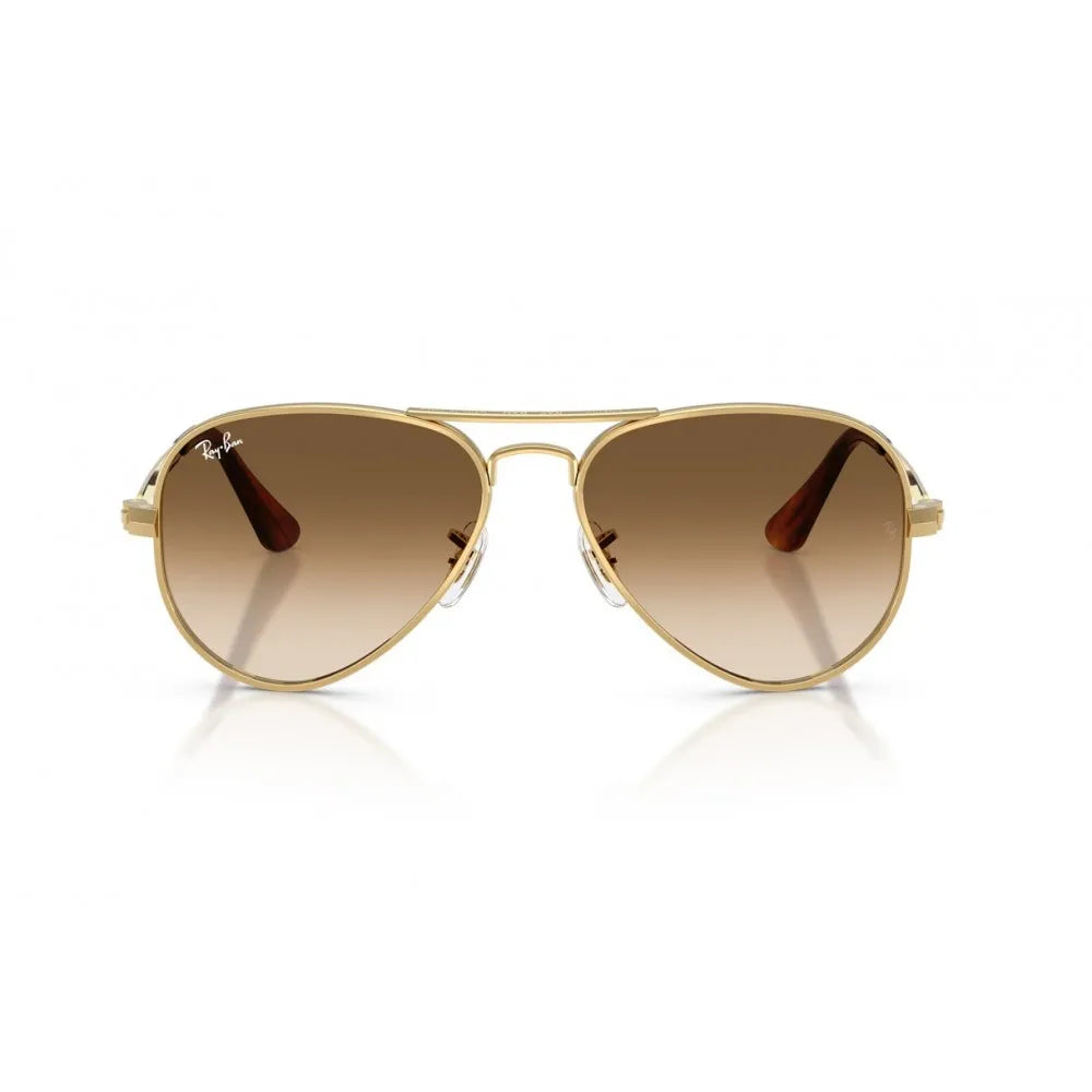 Γυαλιά ηλίου Ray Ban RB 3925 Aviator max