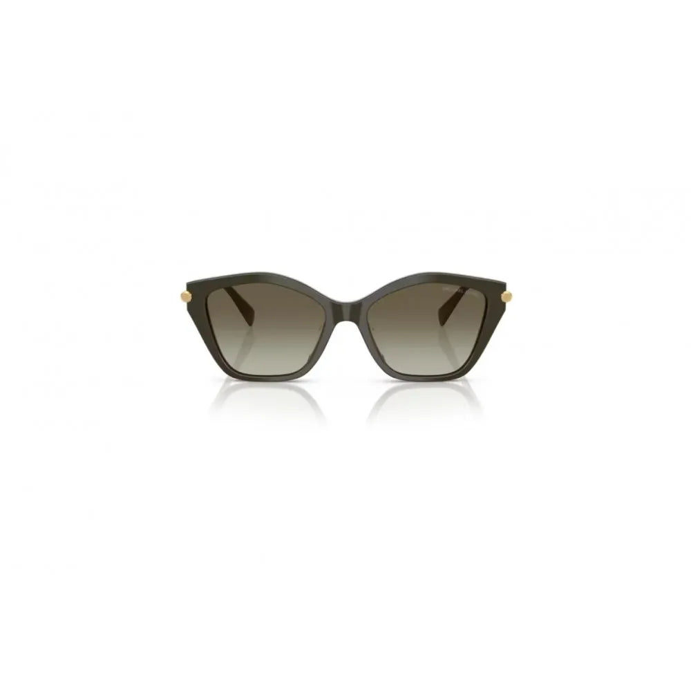 Γυαλιά ηλίου Michael Kors MK 2246U Catskills