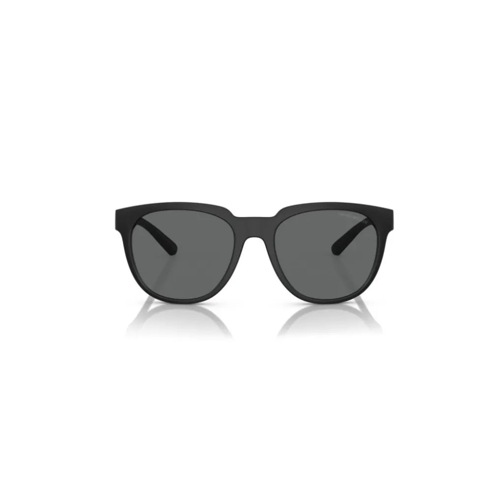 Γυαλιά ηλίου Emporio Armani EA 4205 + Βραχίονες