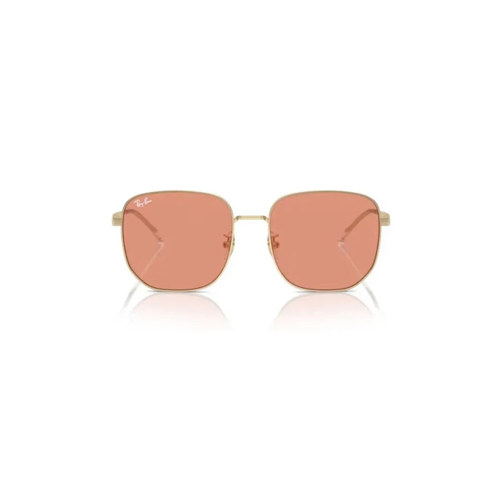 Γυαλιά ηλίου Ray Ban RB 3713D