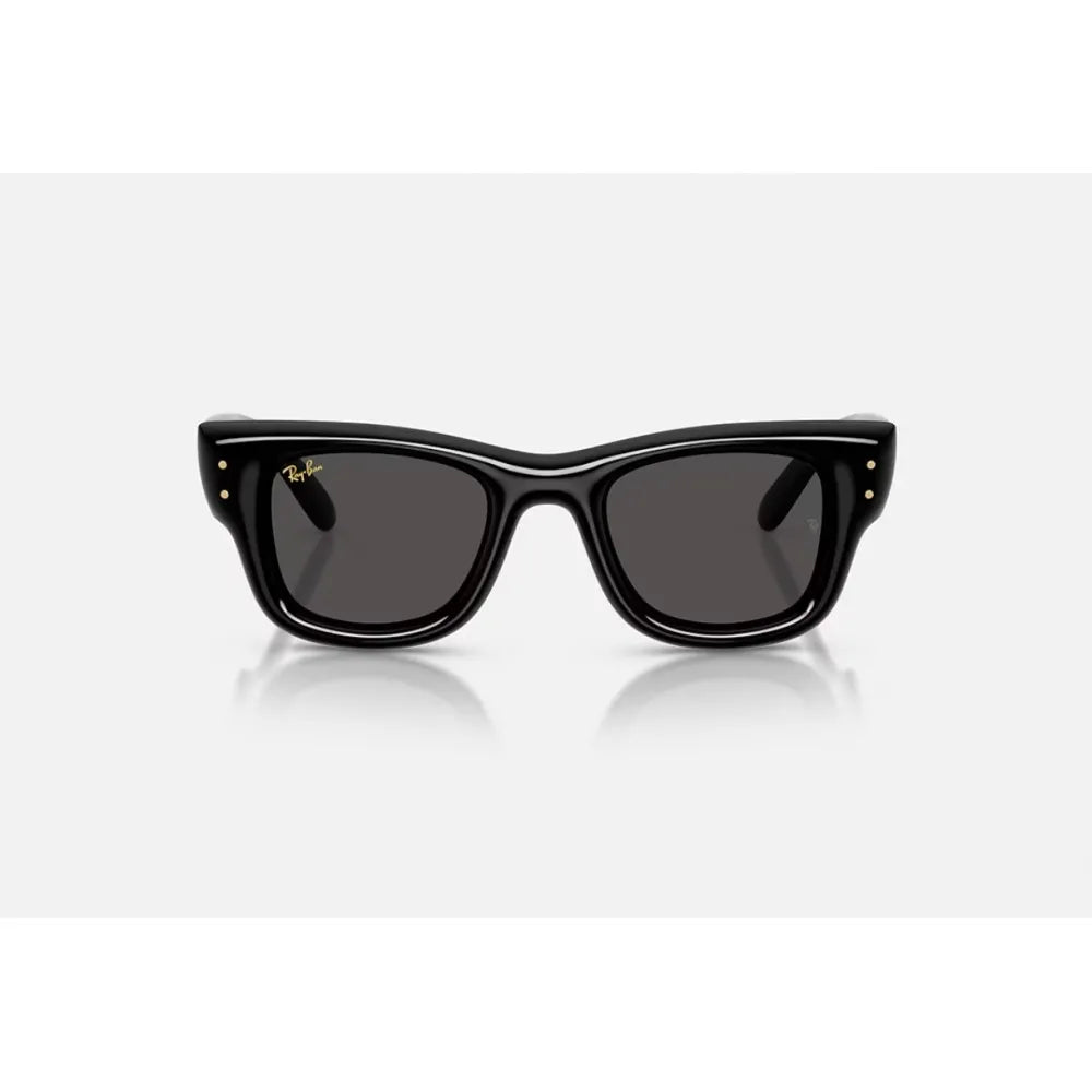 Γυαλιά ηλίου Ray Ban RB 4940 Wayfarer puffer A$AP Rocky x Ray-Ban Collection