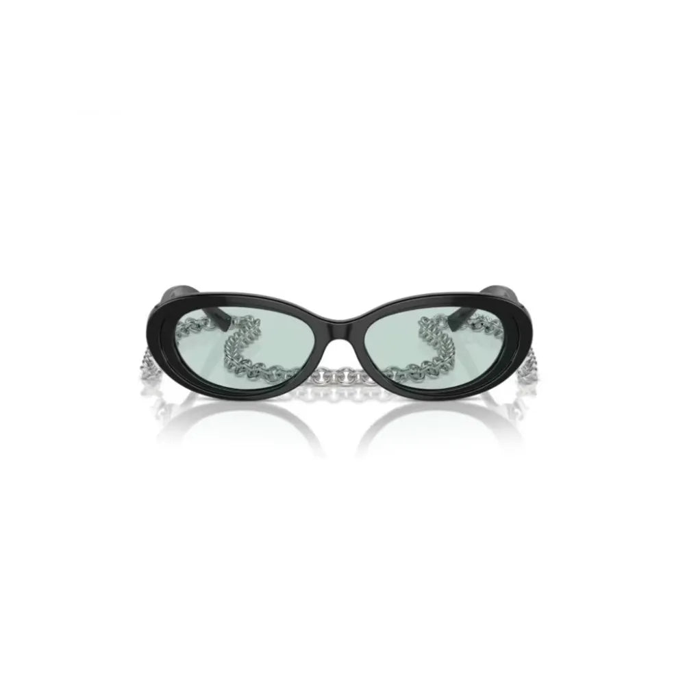 Γυαλιά ηλίου Tiffany & Co TF 4221