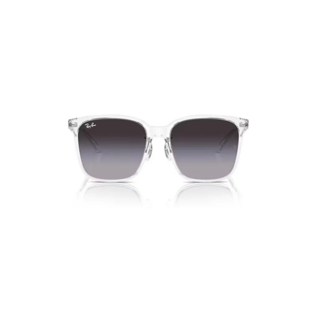 Γυαλιά ηλίου Ray Ban RB 2206D
