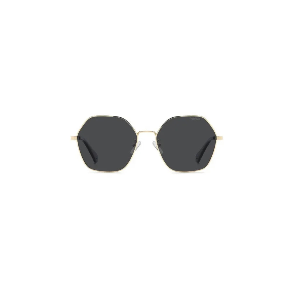 Polaroid PLD 4205/G/S/X Polarized Γυαλιά Ηλίου