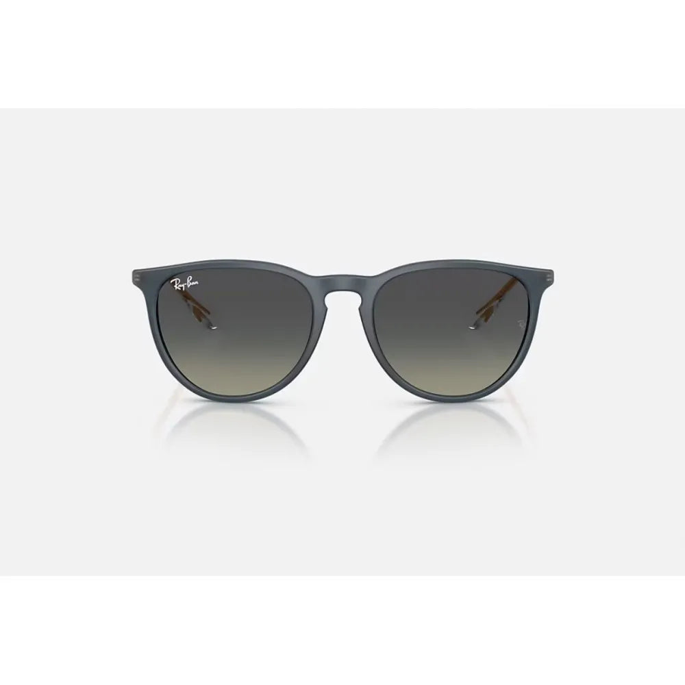 Γυαλιά ηλίου Ray Ban RB 4171 Erika
