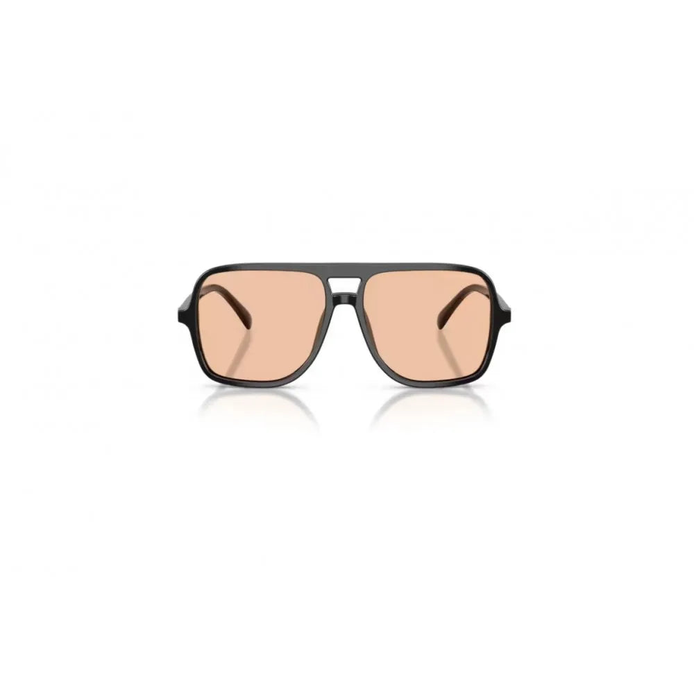 Γυαλιά ηλίου Emporio Armani EA 4252U