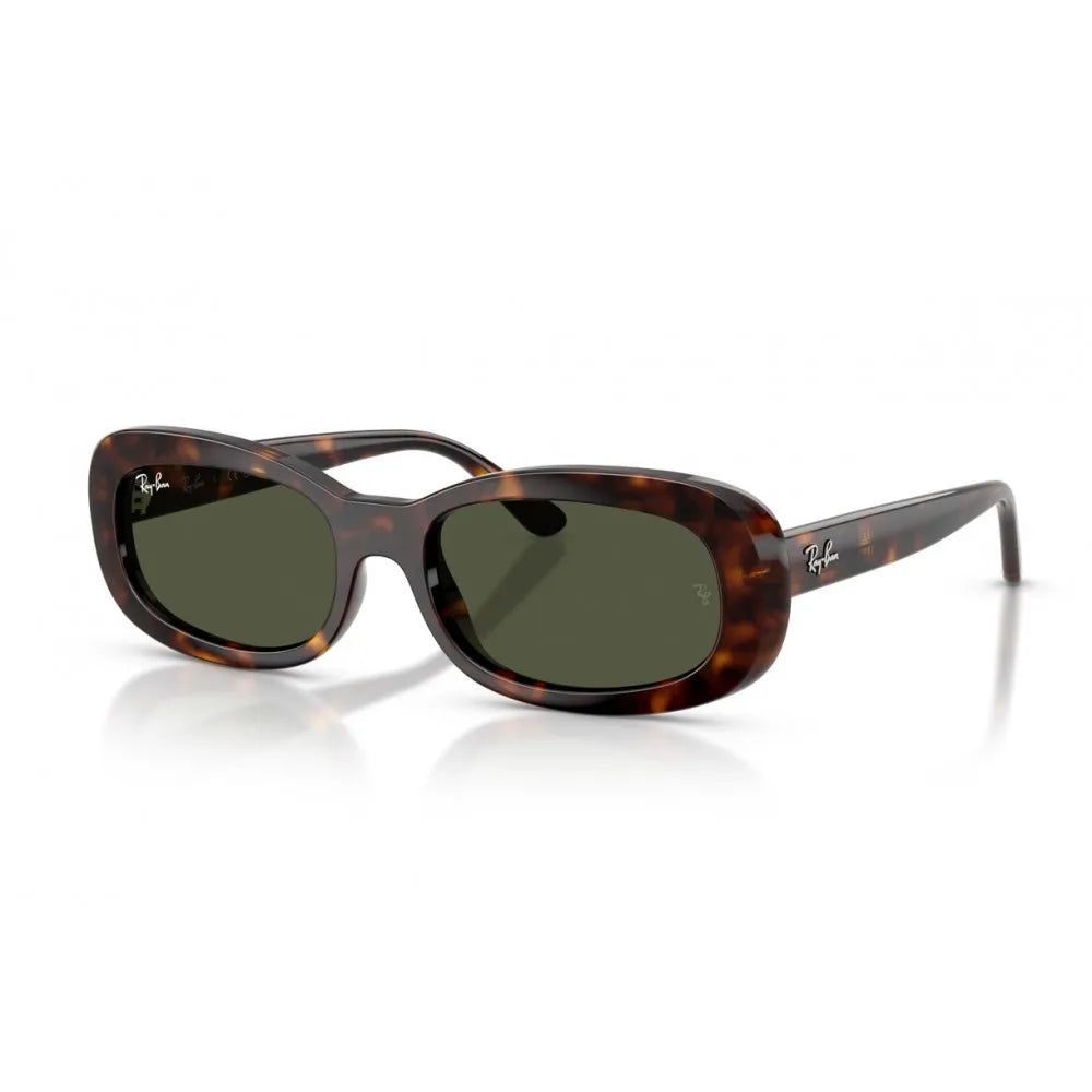 Γυαλιά ηλίου Ray Ban RB 2221