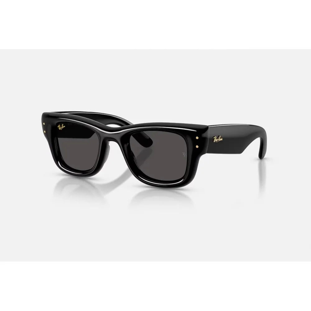 Γυαλιά ηλίου Ray Ban RB 4940 Wayfarer puffer A$AP Rocky x Ray-Ban Collection
