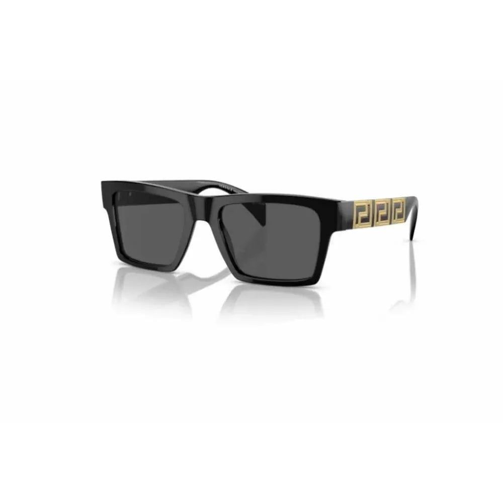 Γυαλιά ηλίου Versace VE 4445