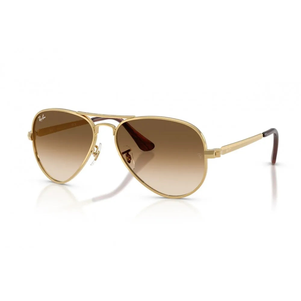 Γυαλιά ηλίου Ray Ban RB 3925 Aviator max