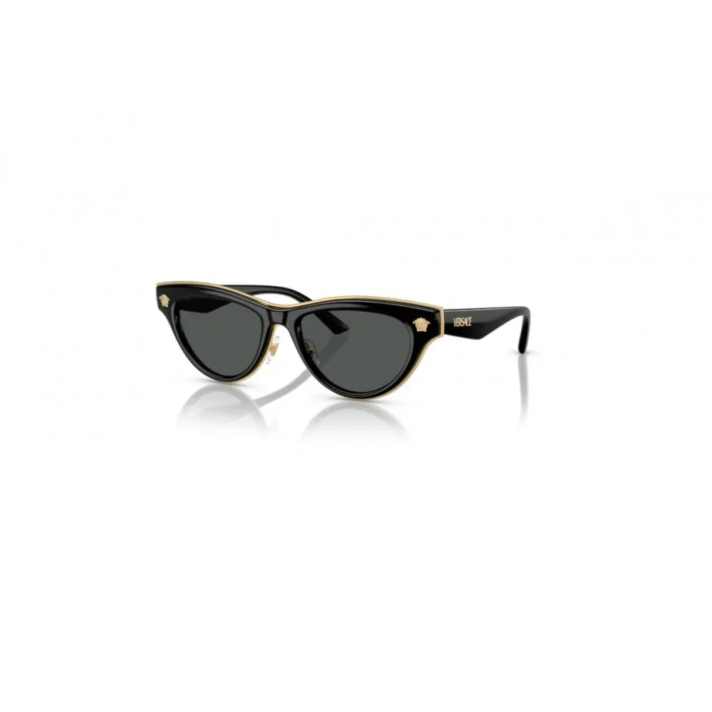 Γυαλιά ηλίου Versace VE 2273