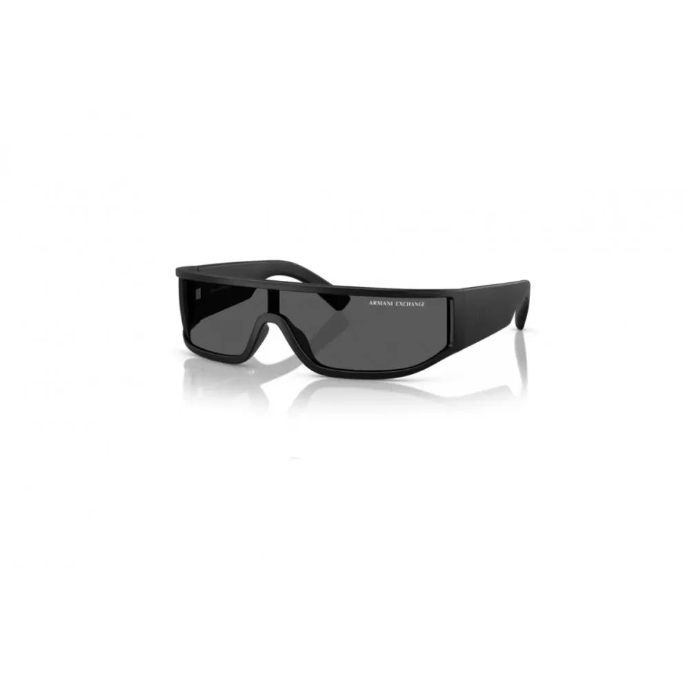 Γυαλιά ηλίου Armani Exchange AX 4153SU
