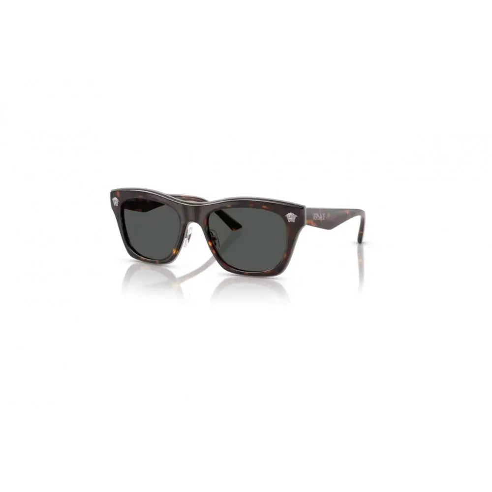 Γυαλιά ηλίου Versace VE 2272