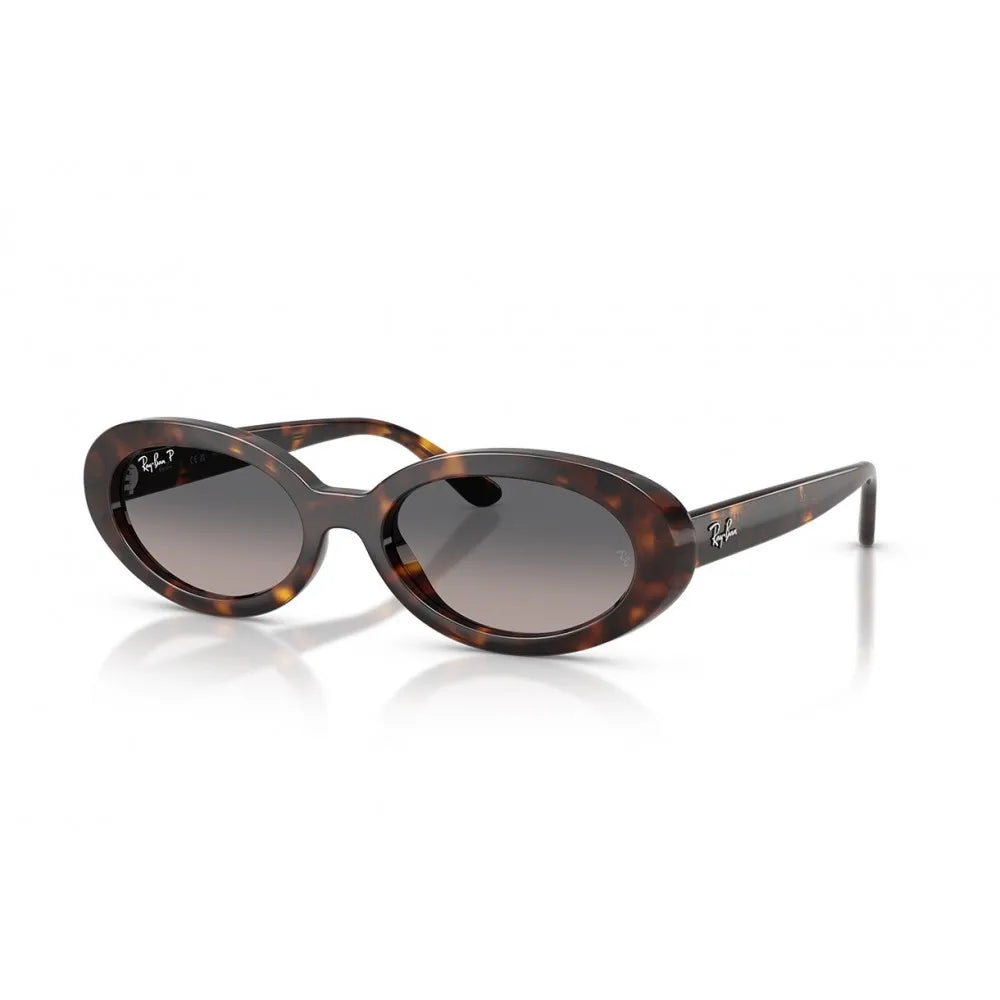 Ray Ban RB 2223