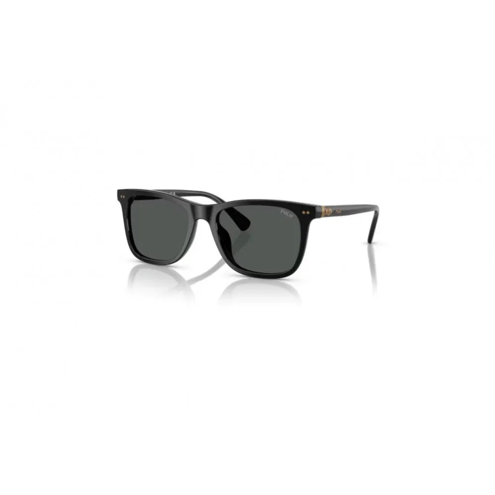 Γυαλιά ηλίου Polo Ralph Lauren PH 4220U