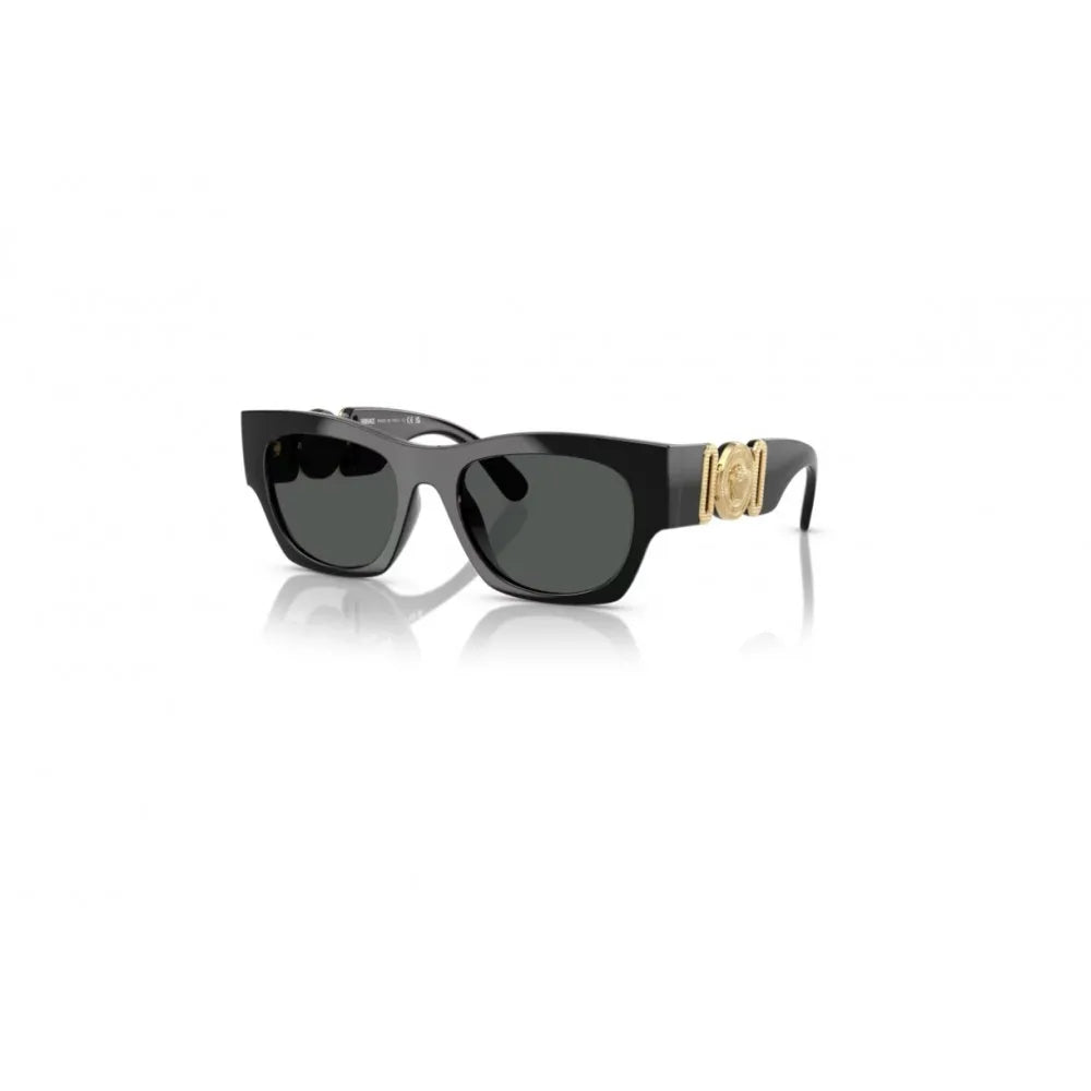 Γυαλιά ηλίου Versace VE 4479U