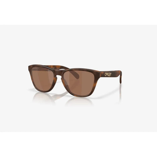 Eφηβικά Γυαλιά ηλίου Oakley OO 9508  Frogskins S Prizm Tungsten