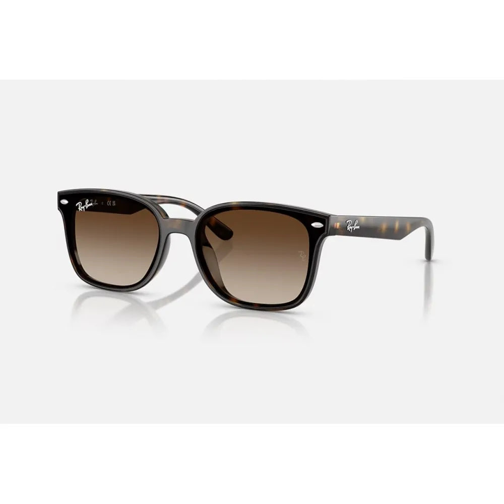 Γυαλιά ηλίου Ray Ban RB 4461D