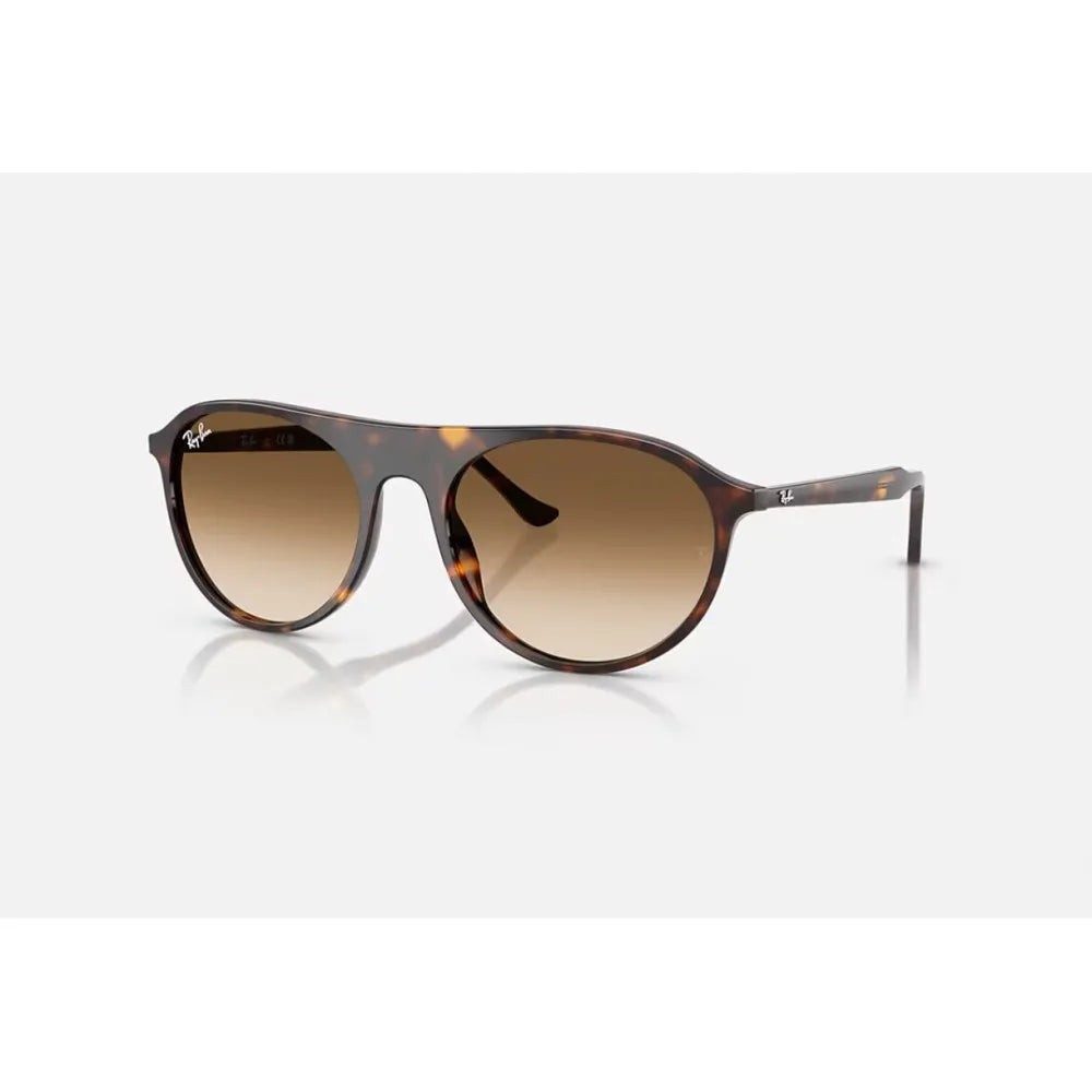 Γυαλιά ηλίου Ray Ban RB 2215