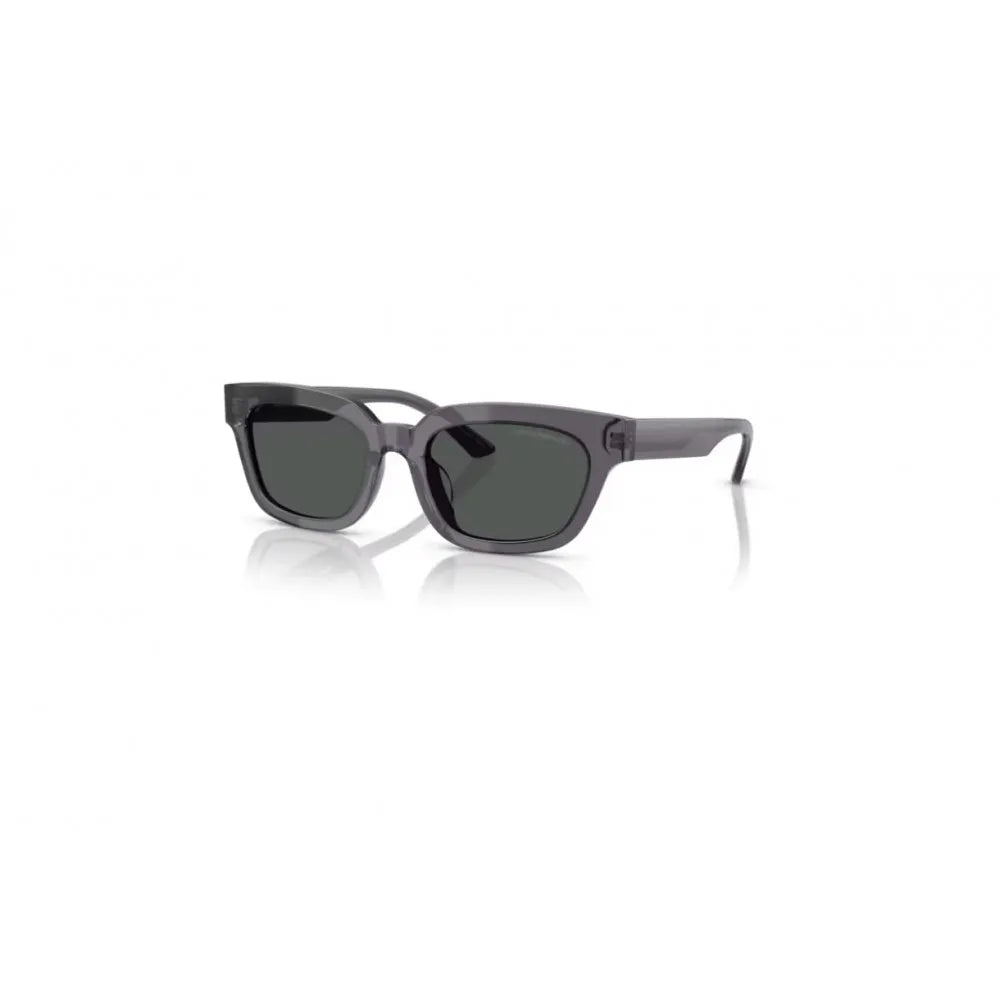 Γυαλιά ηλίου Emporio Armani EA 4233U