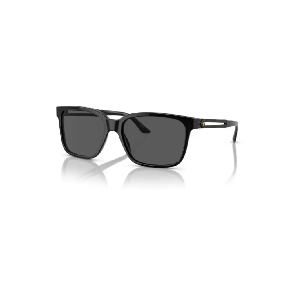 Γυαλιά ηλίου Versace VE 4307