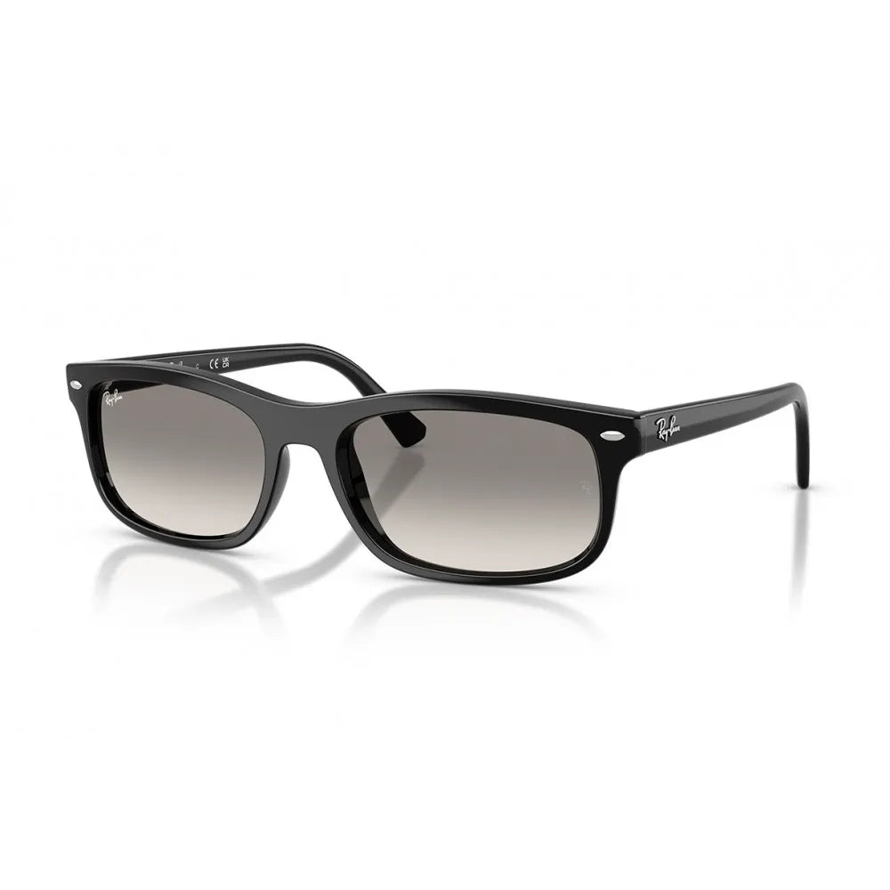 Ray Ban RB 2224