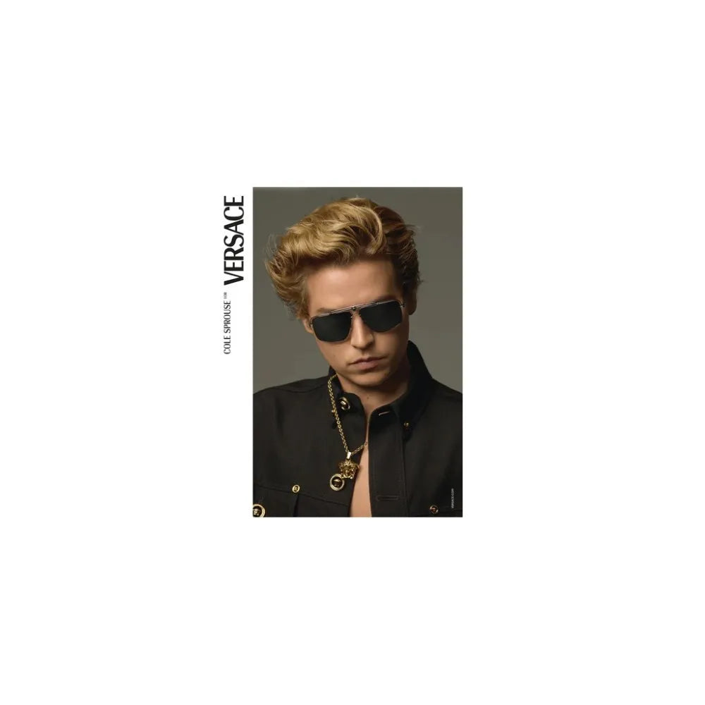 Γυαλιά ηλίου Versace VE 2242