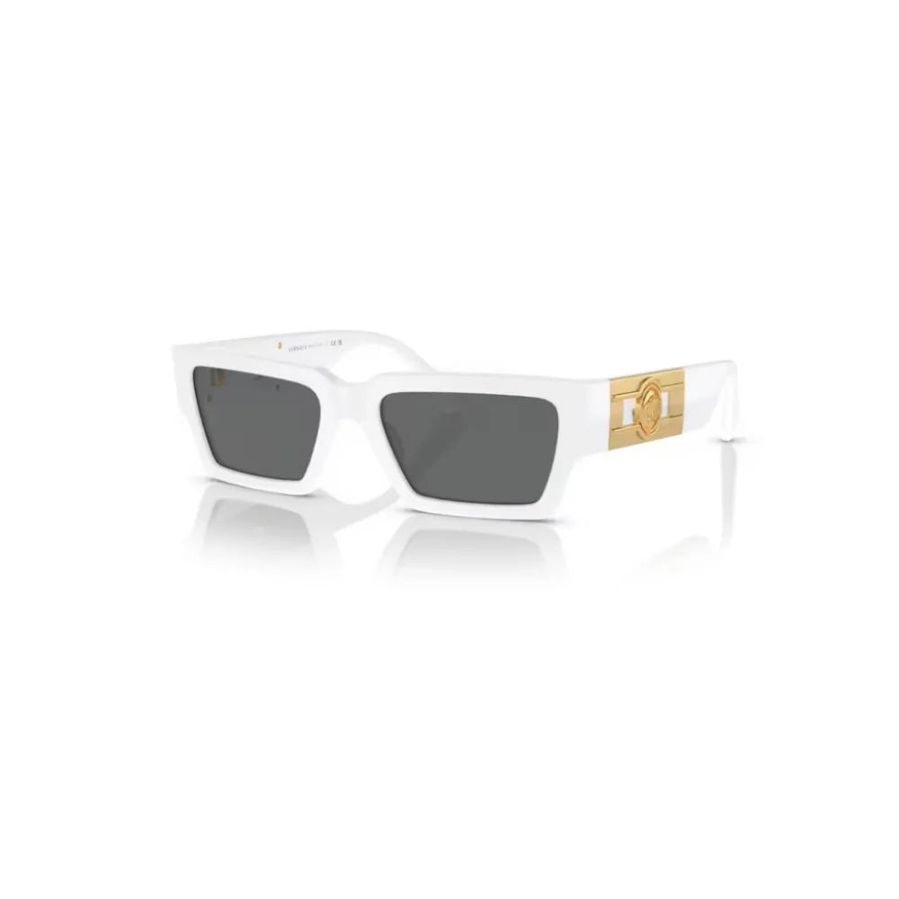Γυαλιά ηλίου Versace VE 4459