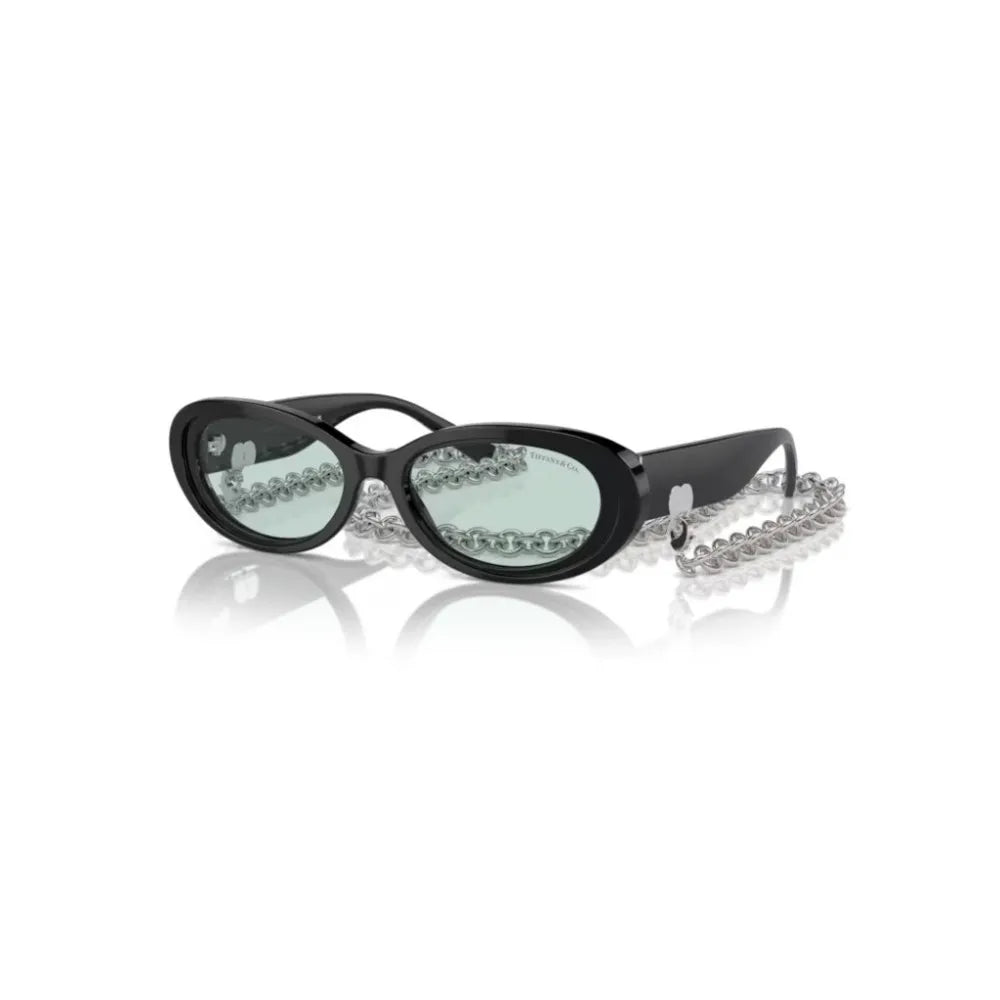 Γυαλιά ηλίου Tiffany & Co TF 4221