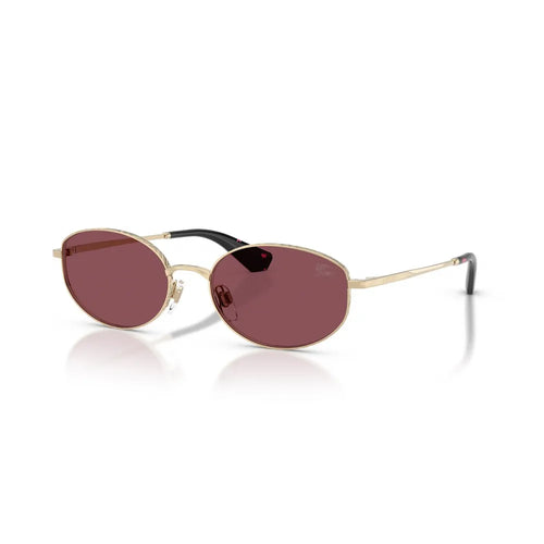 Burberry B 3169 Polarized Γυαλιά Ηλίου
