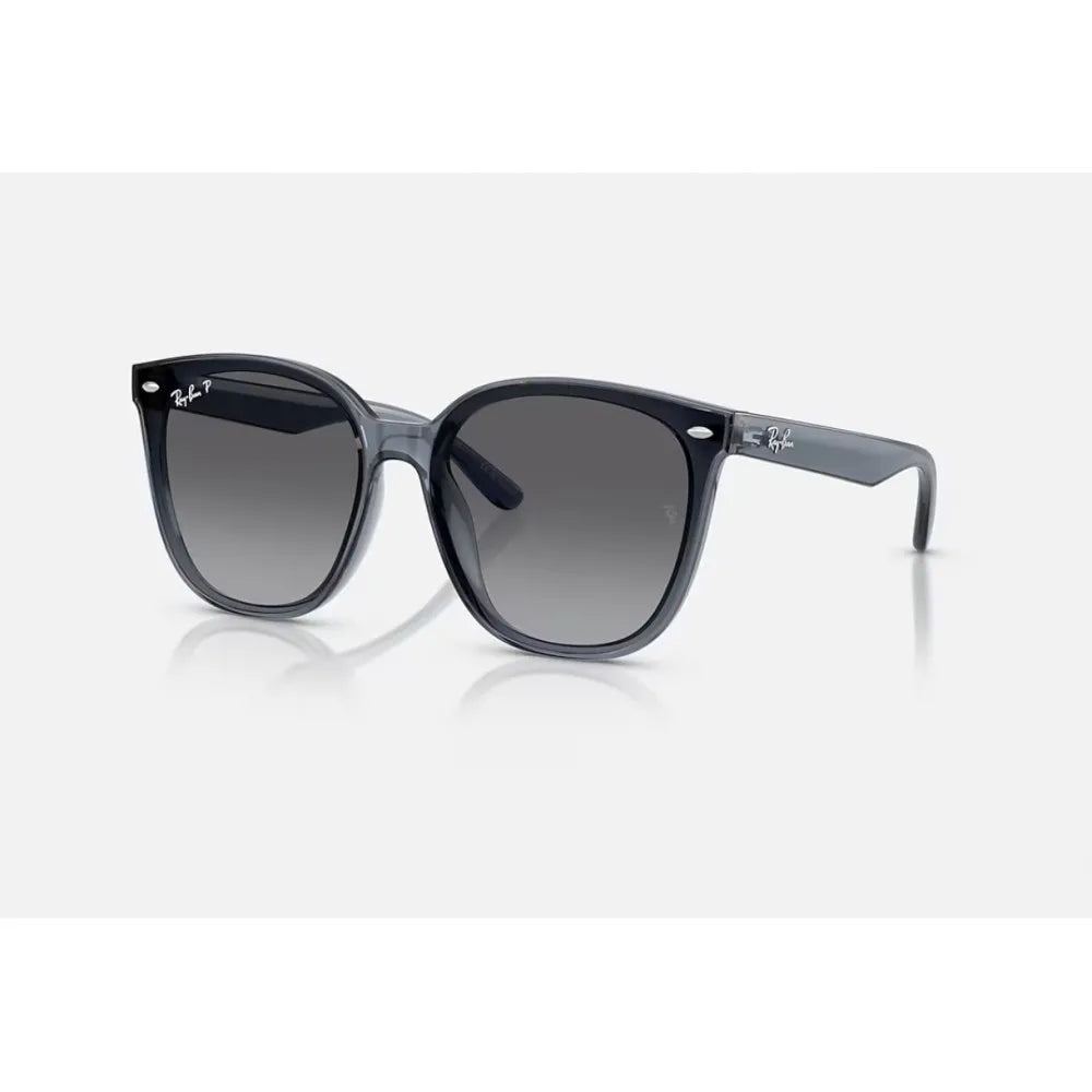 Γυαλιά ηλίου Ray Ban RB 4423D Polarized