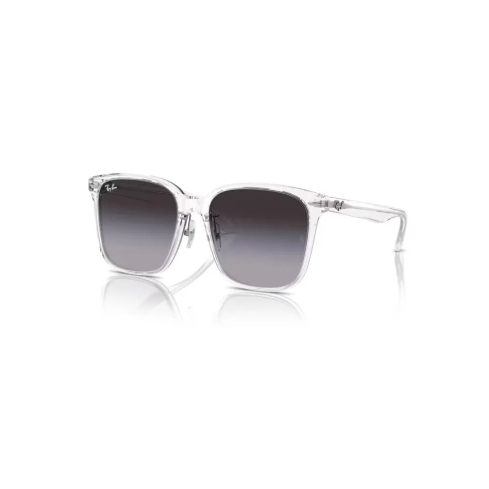 Γυαλιά ηλίου Ray Ban RB 2206D