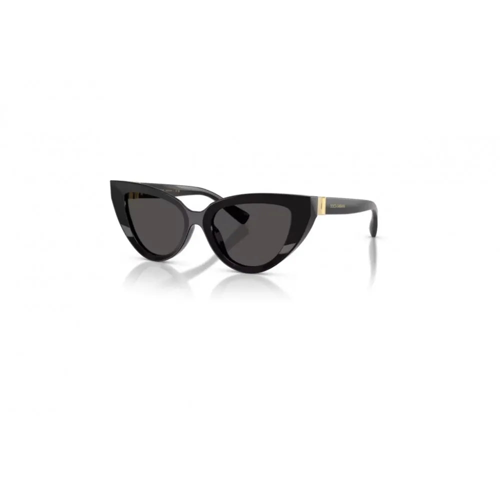 Γυαλιά ηλίου Dolce Gabbana DG 4497