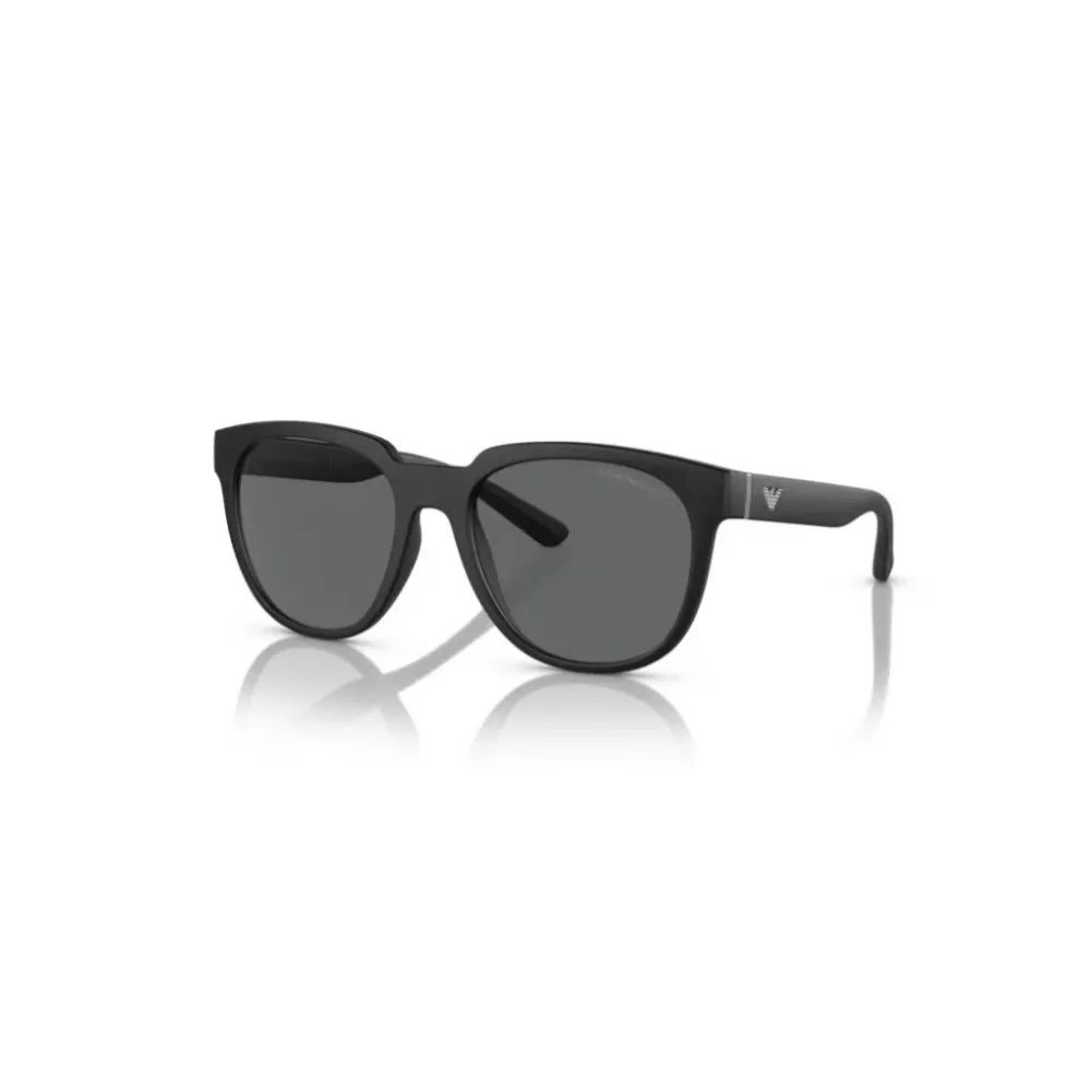 Γυαλιά ηλίου Emporio Armani EA 4205 + Βραχίονες