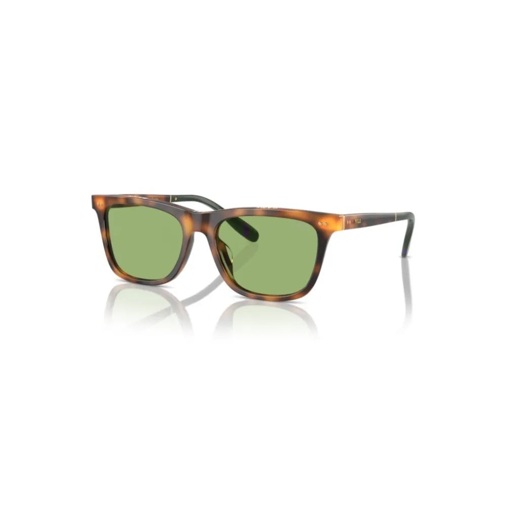 Γυαλιά ηλίου Polo Ralph Lauren PH 4205U
