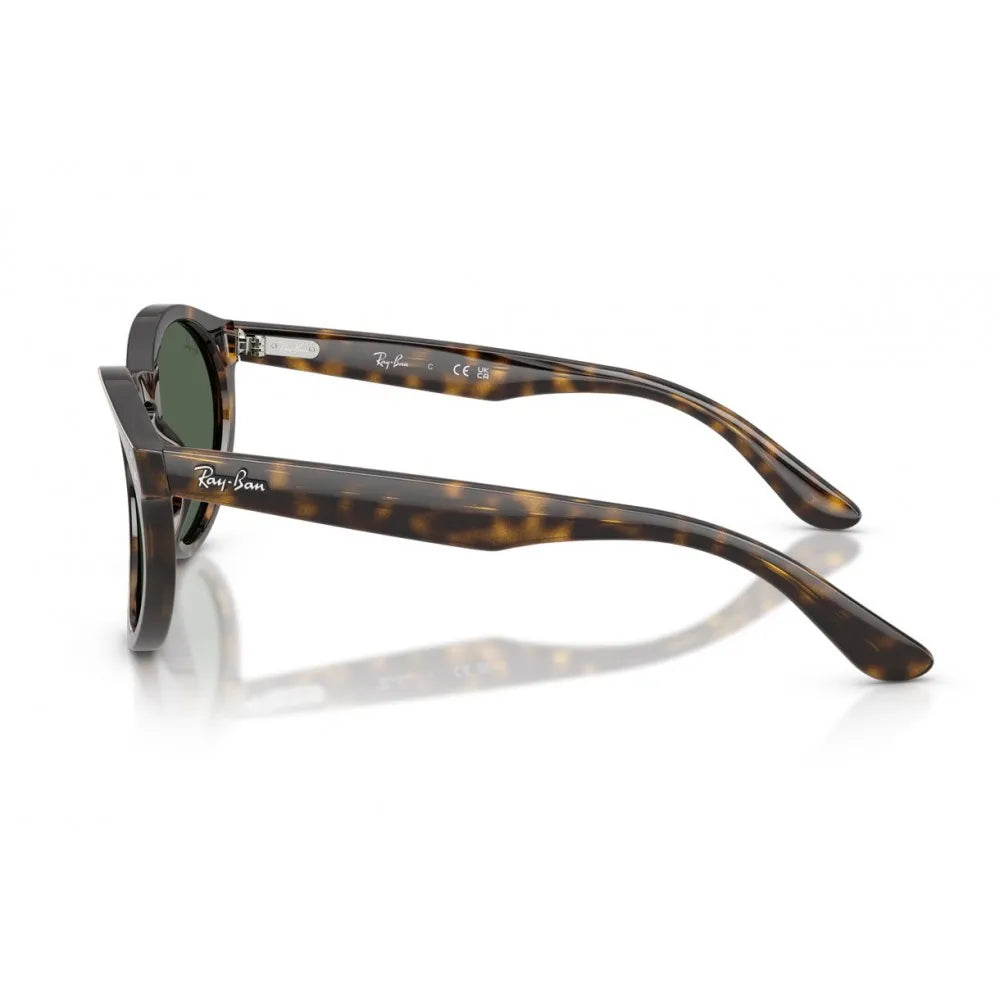 Γυαλιά ηλίου Ray Ban RB R0505S