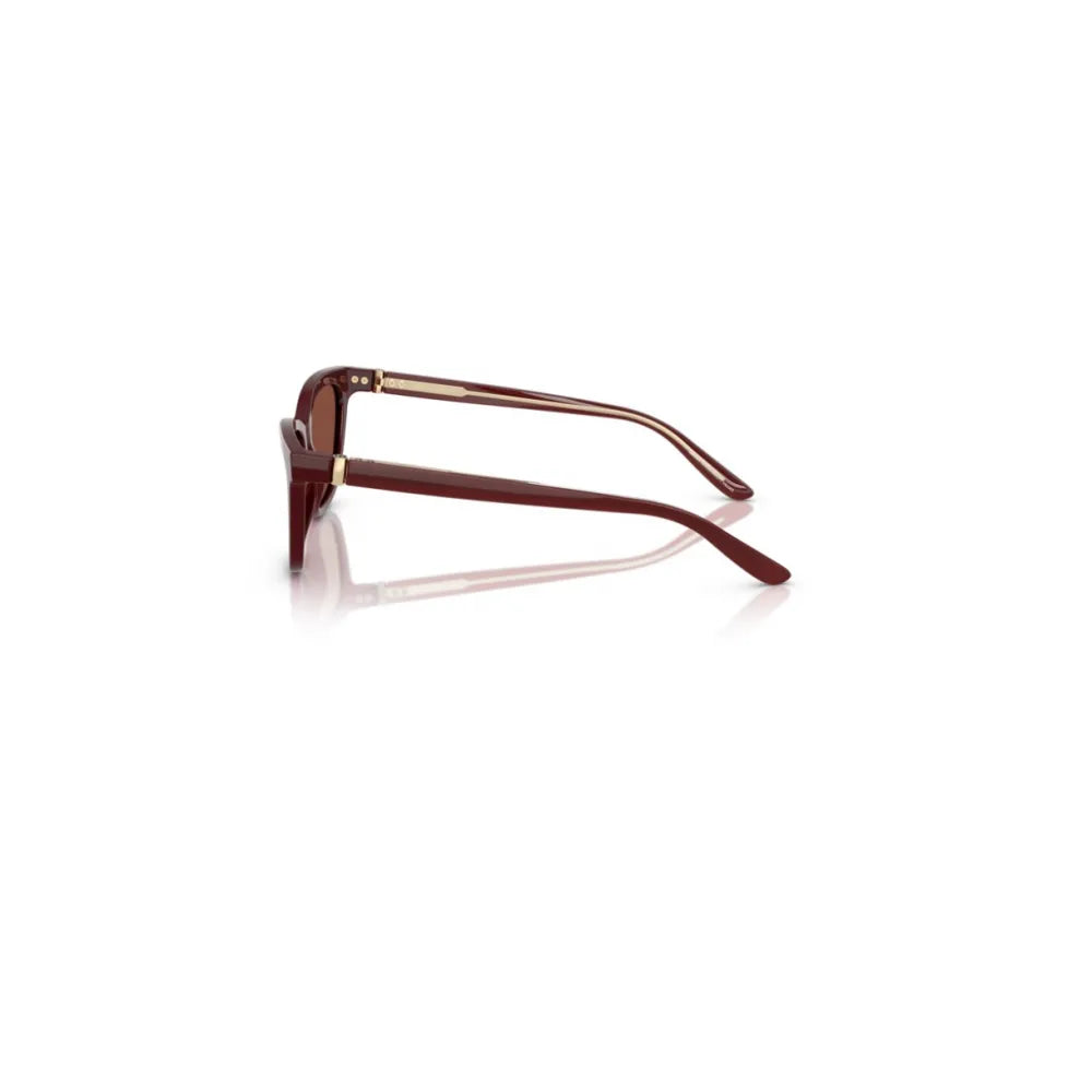 Γυαλιά ηλίου Giorgio Armani AR 8221