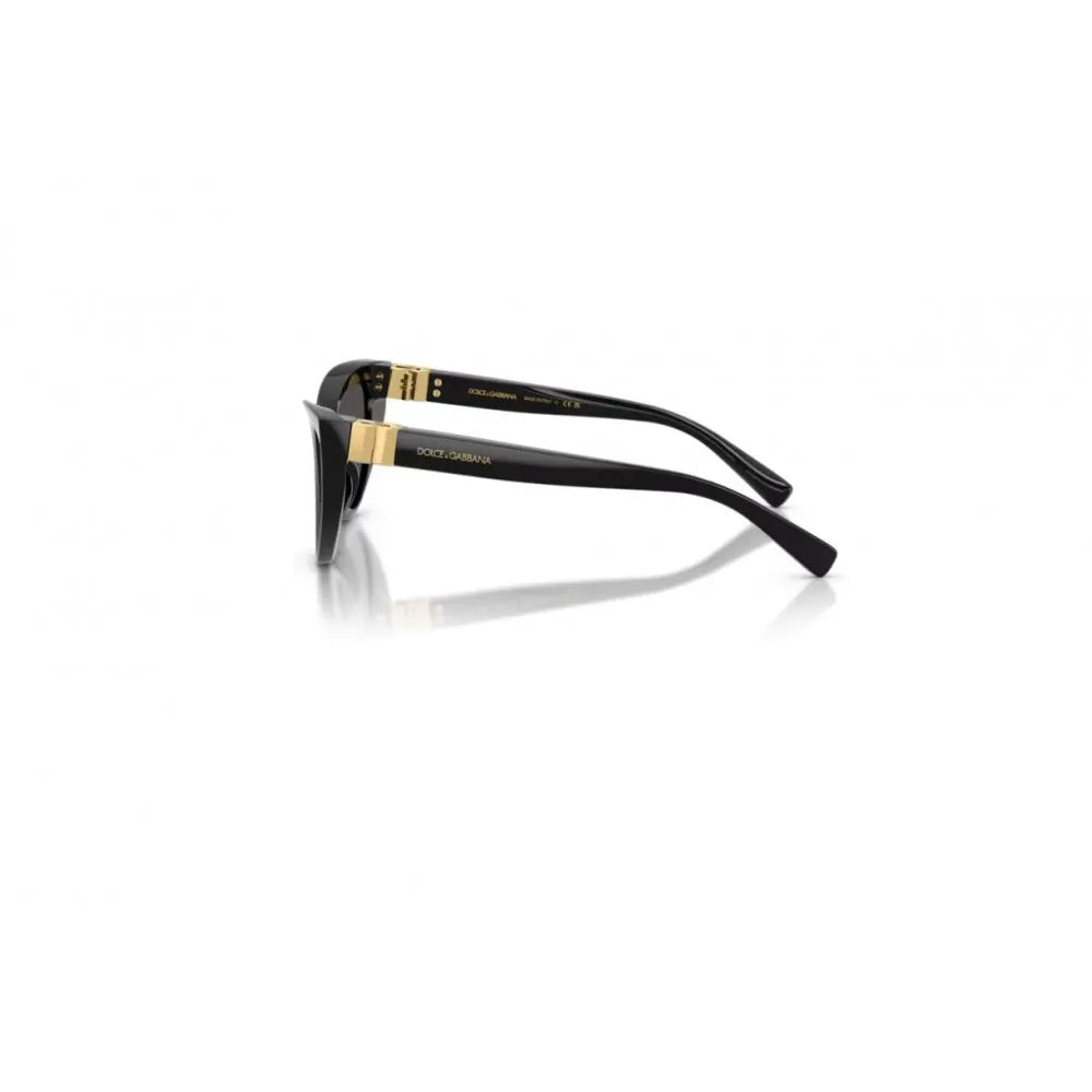 Γυαλιά ηλίου Dolce Gabbana DG 4497