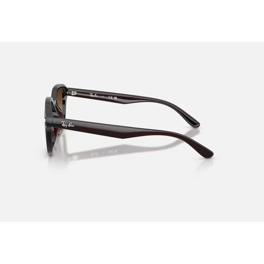 Γυαλιά ηλίου Ray Ban RB 4458D