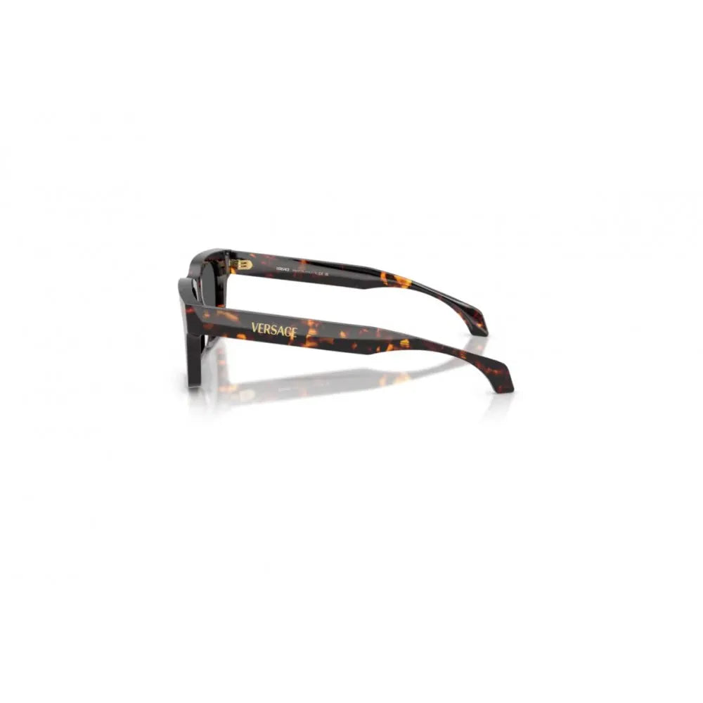 Γυαλιά ηλίου Versace VE 4486